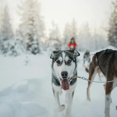 Serenity - Hot Tub & Sauna Willa *