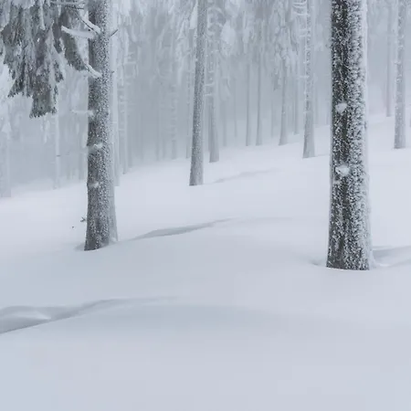 Willa Serenity - Hot Tub & Sauna Levi